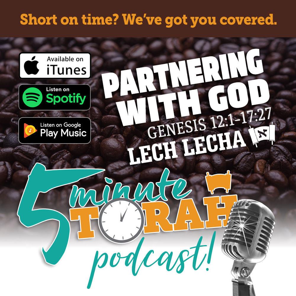 Parashat Lech Lecha - Partnering With God | Emet HaTorah