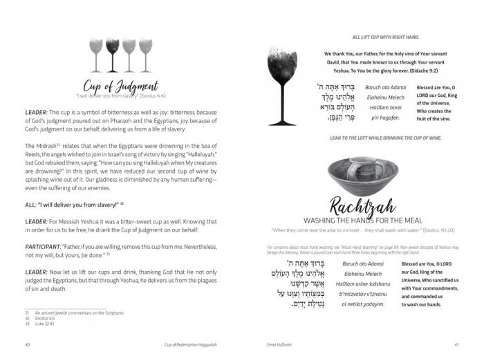 Cup of Redemption Passover Haggadah sample 2